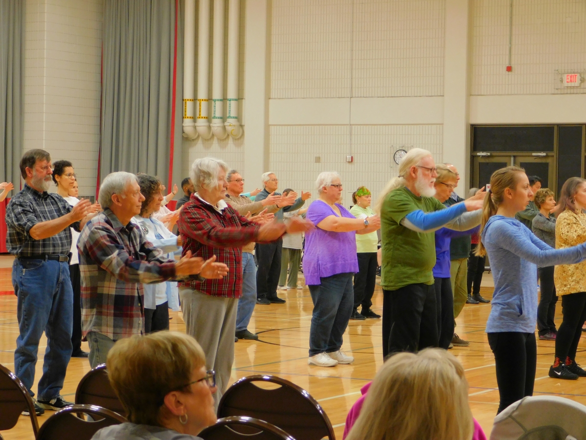 reebok kamikaze sonics
