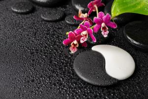 Beautiful,Spa,Concept,Of,Zen,And,Sign,Yin-yang,Stones,With
