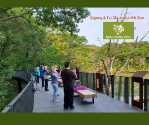 Qigong-Tai-Chi-at-the-MN-Zoo