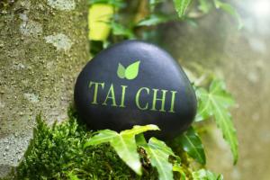 tai chi rock